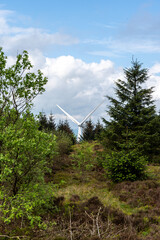 Wind turbine amidst forest landscape