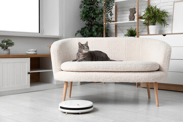 Robot vacuum cleaner and cute cat lying on sofa at home