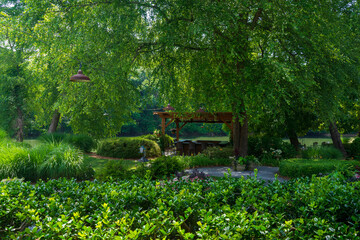 Visiting Gibb Gardens in Georgia, US. The Japanese garden theme's zen environment promotes serenity, quietness, and mental peace. The water is so still that we can see its reflection in the pond.