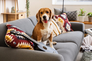 Cute beagle dog with guitar sitting on sofa at home