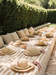 A long outdoor dining table  set up in the middle of a grassy yard with tall hedges.Minimal creative party and nature concept