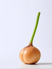 Onion