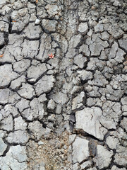 cracked earth texture background