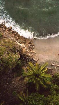 Tropical Beach from above HDR VErtical