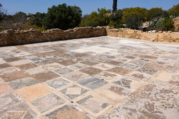 Obraz premium Mosaic floor at ruins of Roman villas in Carthage, Tunisia