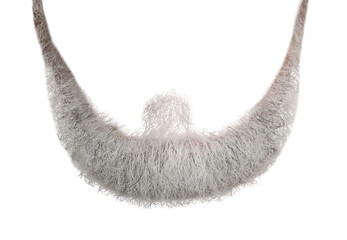 Stylish gray beard isolated on white. Facial hair