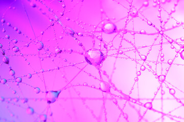 分子のような水滴、幻想的なマクロの世界 ピンク
