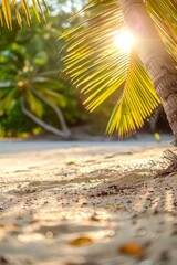 Tropical beach scene  vibrant palm leaf against bokeh sunlight wave abstract backdrop