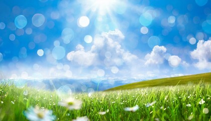 Obraz premium きらめく夏の草原