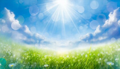 Obraz premium きらめく夏の草原