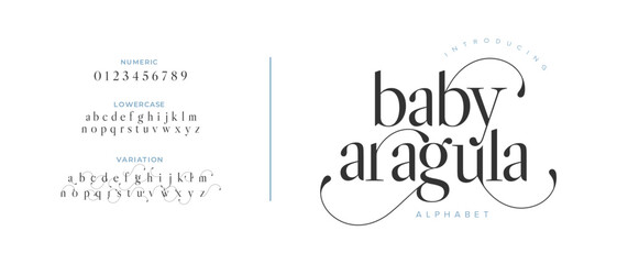 Baby elegant font alphabet uppercase lowercase and number. Classic lettering minimal fashion designs. Typography modern serif fonts regular decorative vintage concept. Vector illustration