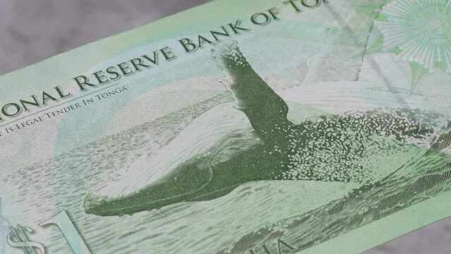 100 Belarus ruble rouble RBL national currency legal tender bill central bank 6