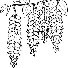 Wisteria Flower outline illustration coloring book page design, Wisteria Flower black and white line art drawing coloring book pages for children and adults
