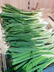 Fresh Green Onions on Display at Market