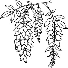 Wisteria Flower outline illustration coloring book page design, Wisteria Flower black and white line art drawing coloring book pages for children and adults

