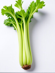 Fototapeta premium Celery