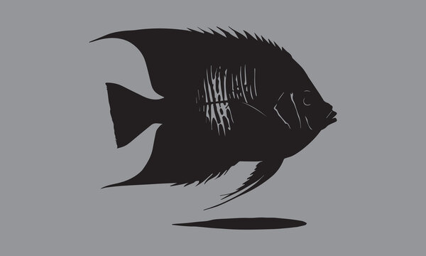 recommend clip art: This is amazing black silhouette of a Angelfish vector. Best fishing T-shirt. Tropical Angelfish.