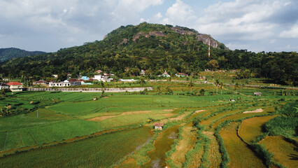 Obraz premium Panorama of the Nglanggeran Ancient Volcano ecotourism area in the afternoon using a drone. Aerial photo of an ancient stone hill covered with lush trees and surrounded by rice fields and countryside