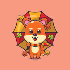 Cute shiba inu with umbrella at autumn season