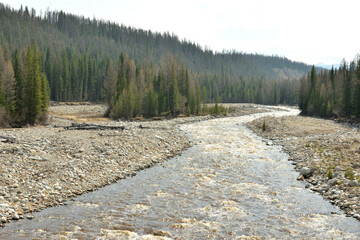 A winding bed of a stormy mountain river with wide pebble banks flows through a spring cedar forest...