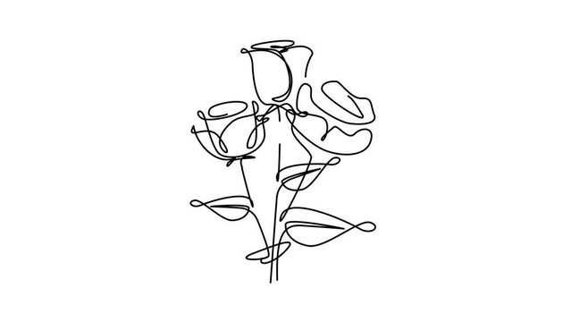 Flower drawing mono line. Continuous line icon on white background. template