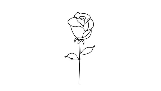 Flower drawing mono line. Continuous line icon on white background. template