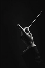 지휘자,지휘봉,오케스트라