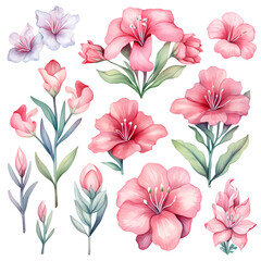 Watercolor stickers set clipart adenium flower