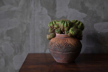 Clay pot with cacti, leave copy space.