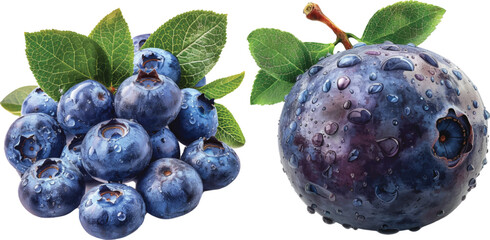 blueberries isolated on white background