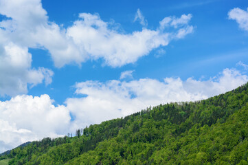 Spring view of a green forest in the distance and a blue sky with white clouds