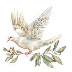 Fototapeta premium Watercolor illustration of a detailed dove carrying an olive branch clipart