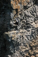 Aves en el Parque Nacional Mochima,Estado Sucre Venezuela.Gran cantidad de aves acuaticas.