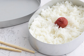 日の丸弁当　Japanese food