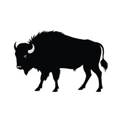 american bison silhouette of vector on white