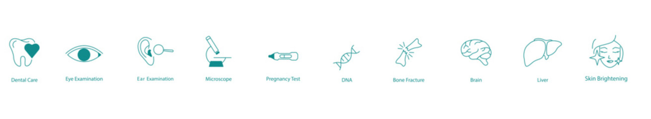 Comprehensive Dental Health Care Services Vector Icon