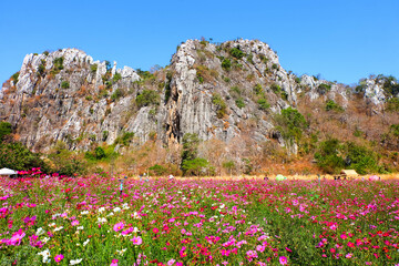 Beautiful flower gardens in the season of tourism.	