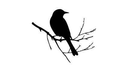 Bird on a Branch Silhouette