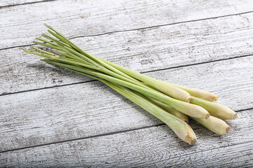 Lemongrass - Asian aroma plant for cooking