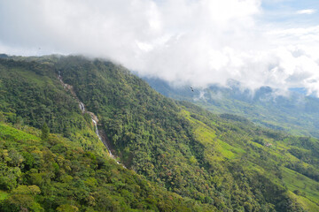 Obraz premium Green and lush jungle with waterfall