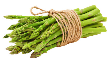 Fresh green asparagus bunch tied with rope isolated on transparent background