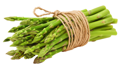 Fresh green asparagus bunch tied with rope isolated on transparent background