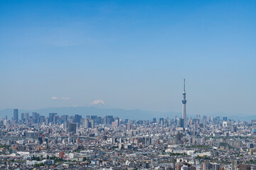 東京都新のビル群と富士山