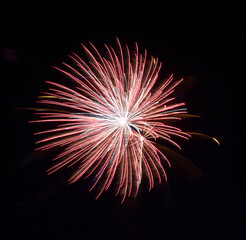 A fireworks in the sky