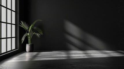 grey shadow studio showcase, shadow sunshine and sunbeam reflection on black and white empty room studio.