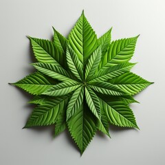 Symmetrical Green Maple Leaf Star on Light Background