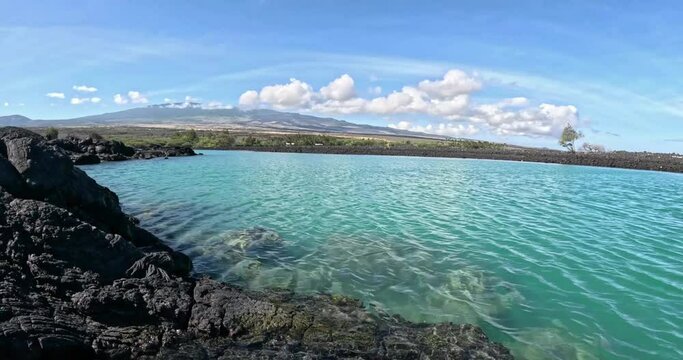 Jump In The Blue Water