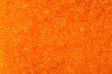 photo of red caviar close up