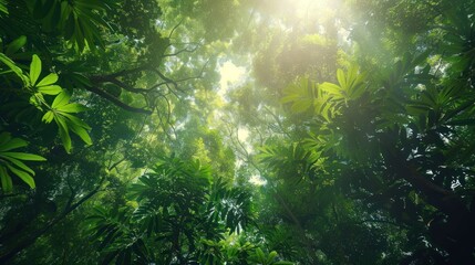 Obraz premium sunlight filtering through a verdant forest canopy, 