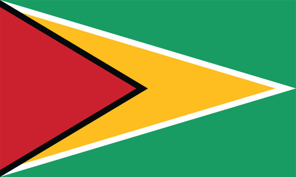National flag of Guyana. Guyana Flag.
